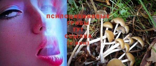 кокс Заволжск